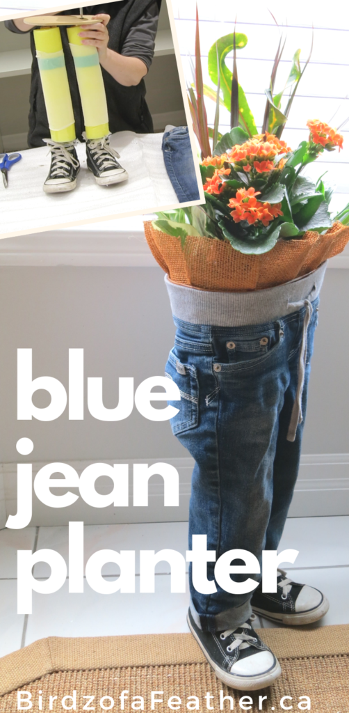 Upcycle old blue jeans into a blue jean planter | birdz of a feather | blue jean upcycle | blue jean upcycling | blue jean crafts | blue jean craft DIY | planter ideas | denim planter | | denim planters | blue jeans | blue jean planter | blue jean planters | blue jean planters diy | blue jean planters how to make | standing planter } standing planters diy | denim upcycle | denim crafts | upcycle clothes | upcycle ideas #bluejeans #planters #planterideas #denim #upcycleddenim #upcycle #upcycling