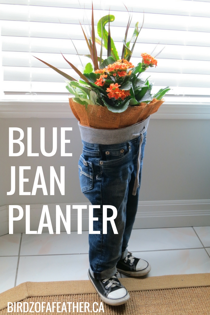 Upcycle old blue jeans into a blue jean planter | birdz of a feather | blue jean upcycle | blue jean upcycling | blue jean crafts | blue jean craft DIY | planter ideas | denim planter | | denim planters | blue jeans | blue jean planter | blue jean planters | blue jean planters diy | blue jean planters how to make | standing planter } standing planters diy | denim upcycle | denim crafts | upcycle clothes | upcycle ideas #bluejeans #planters #planterideas #denim #upcycleddenim #upcycle #upcycling