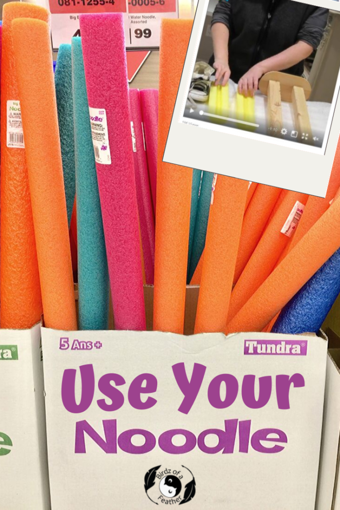 The greatest thing to happen to pool noodles since the pool. Now that's using your noodle! | Birdz of a Feather