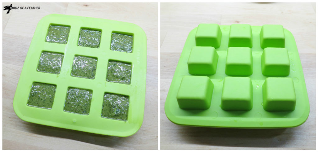 How to make homemade pesto | Birdz of a Feather | pesto | pesto homemade | pesto how to make | sustainable ideas | sustainable living | sustainable living DIY | sustainable living products | sustainable living tips | sustainable living kitchen | sustainable living projects | sustainable living small spaces | sustainable living inspiration | sustainable living recipes | birdzofafeather.ca #sustainable #sustainability #sustainableliving #sustainablecooks #pesto #pestorecipe