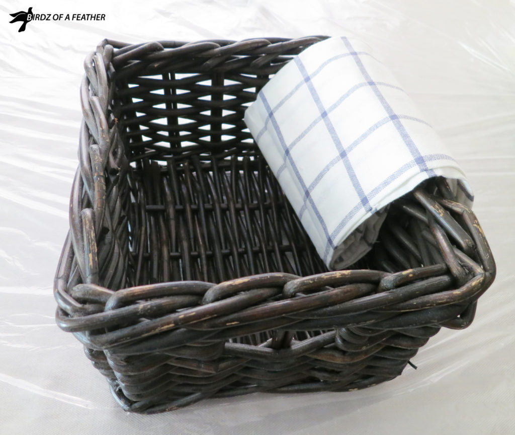 Trying to live a more a sustainable lifestyle? We've got food waste solutions to help reduce or even eliminate waste and key areas to help conserve at home. How to reduce food waste | reduce food waste tips | Birdz of a Feather | reduce environmental impact | how to recycle | how to recycle at home