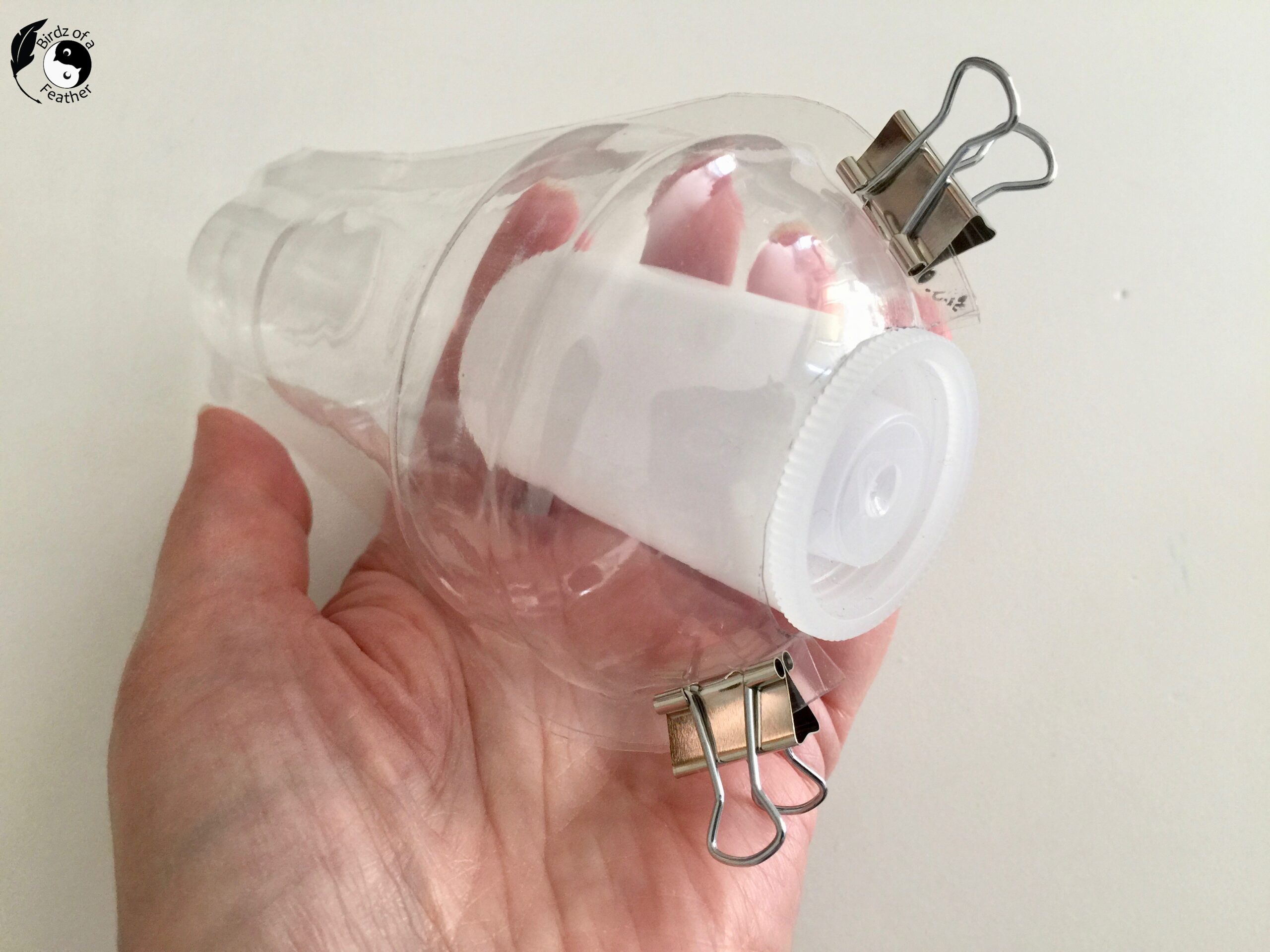 Hand holds up light bulb packaging used for cement planter molds. Also shows a film canister through the middle that will be used to displace the cement, creating an area for the air plant.