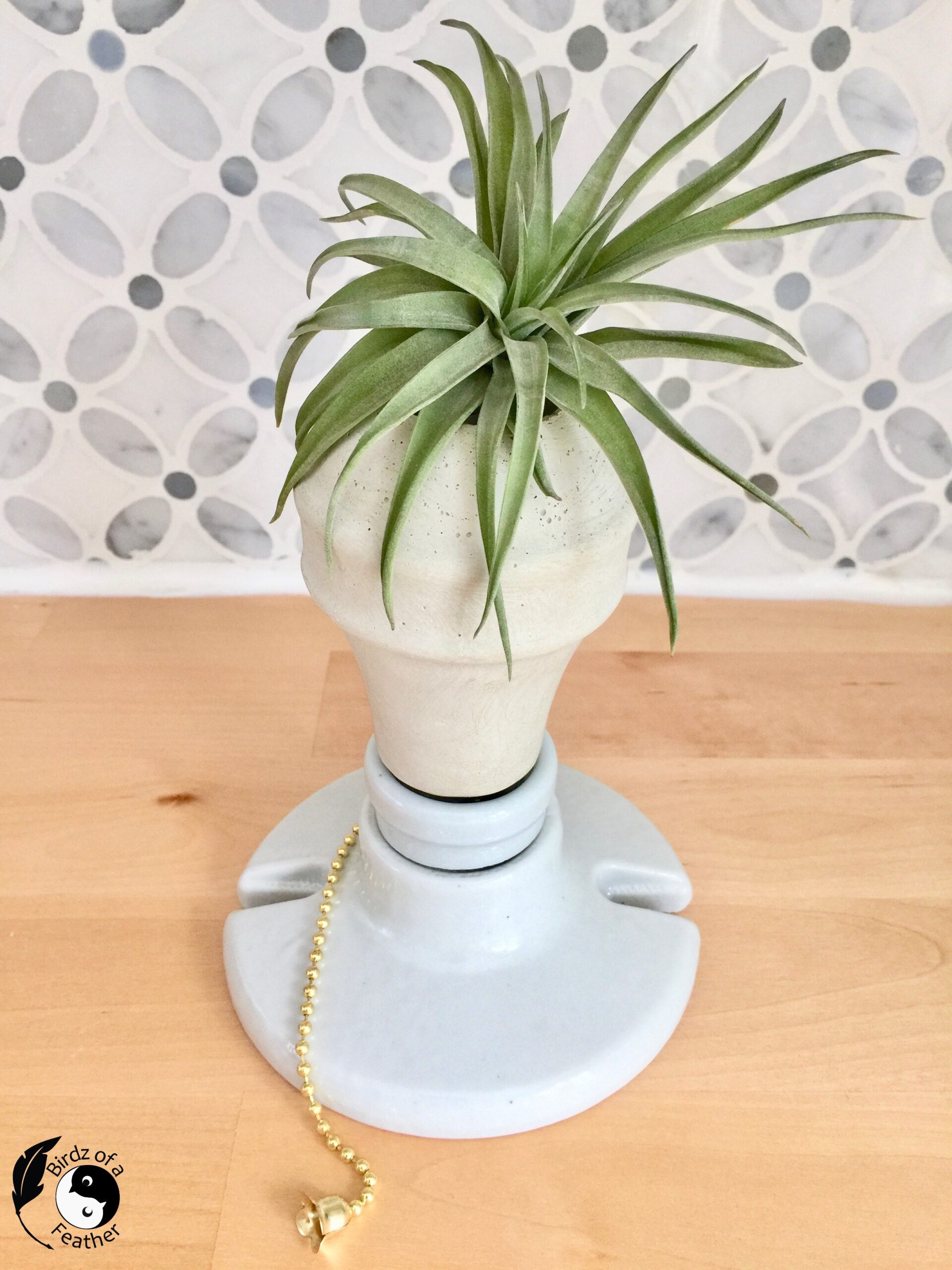 Cement planter molds are finished! A single cement light bulb air planter is shown standing in the porcelain base with an air plant in the top. 