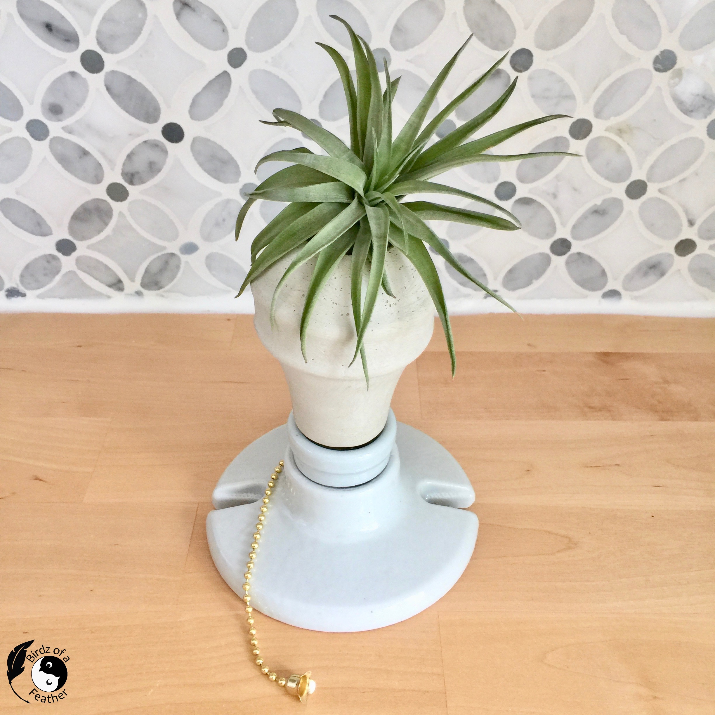 Cement planter made with cement planter molds using recycled light bulb packaging. The air plant holders holds a spiky air plant