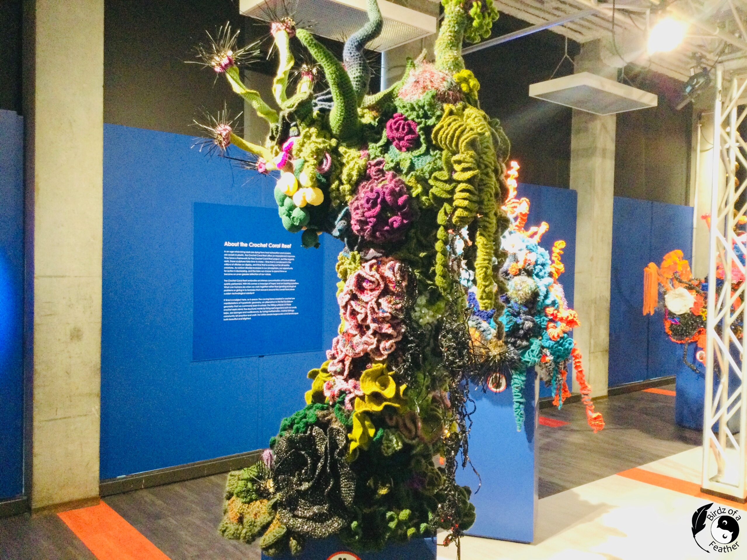 Coral Reef Exhibit at the Ontario Science Centre