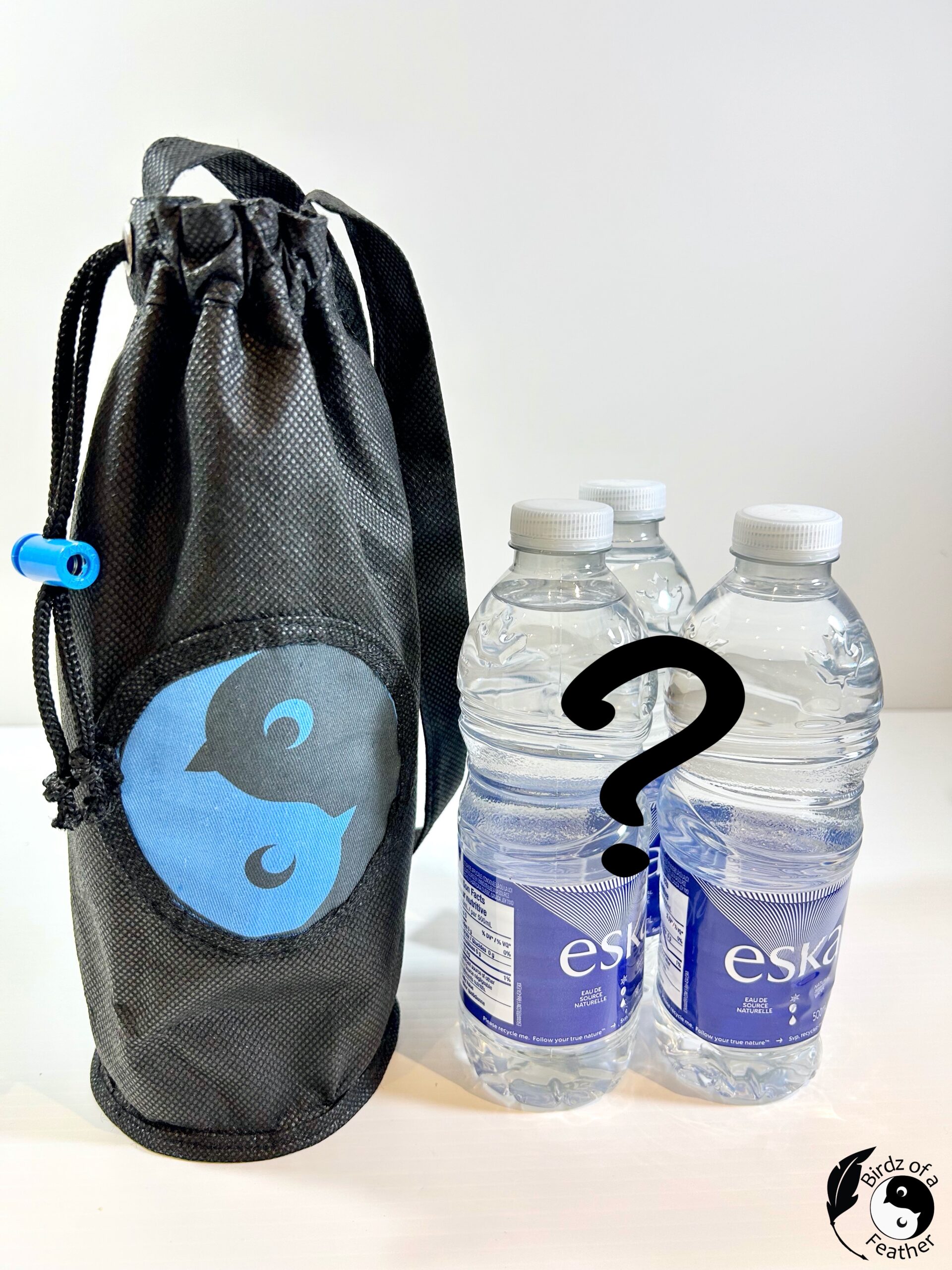 Water bottle holder beside plastic water bottles with question mark superimposed over the bottles